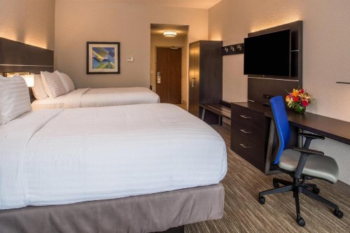 Holiday Inn Express & Suites - Tampa North - Wesley Chapel an IHG Hotel - image 10