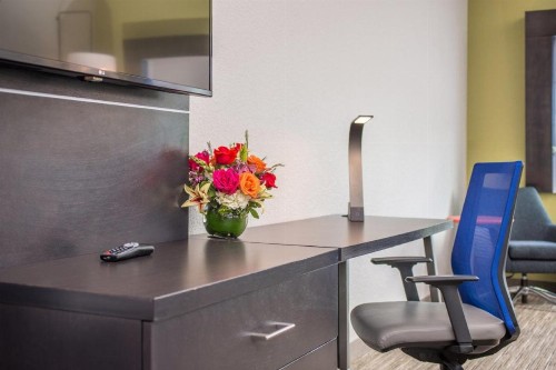 Holiday Inn Express & Suites - Tampa North - Wesley Chapel an IHG Hotel - image 13