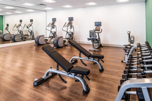 Holiday Inn Express & Suites - Tampa North - Wesley Chapel an IHG Hotel - image 17