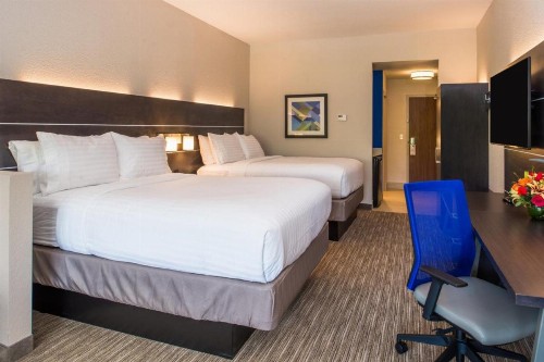 Holiday Inn Express & Suites - Tampa North - Wesley Chapel an IHG Hotel - image 2