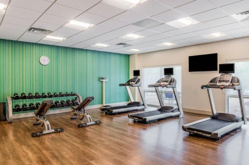 Holiday Inn Express & Suites - Tampa North - Wesley Chapel an IHG Hotel - image 20