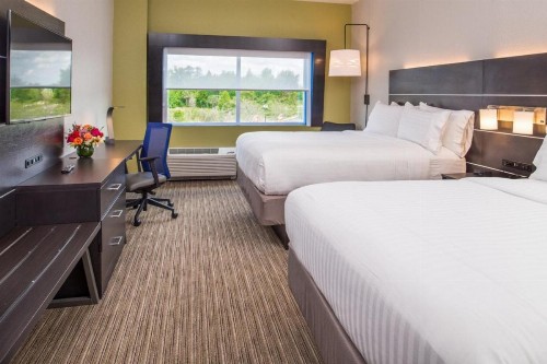 Holiday Inn Express & Suites - Tampa North - Wesley Chapel an IHG Hotel - image 21