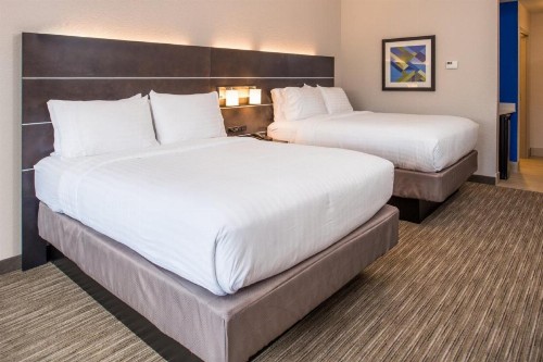 Holiday Inn Express & Suites - Tampa North - Wesley Chapel an IHG Hotel - image 3