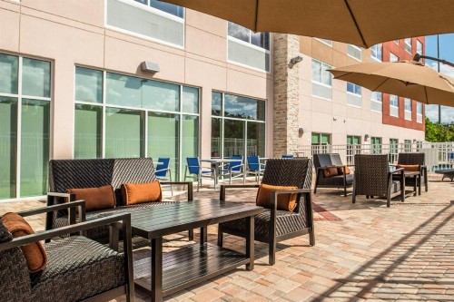 Holiday Inn Express & Suites - Tampa North - Wesley Chapel an IHG Hotel - image 38