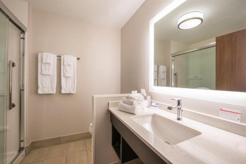 Holiday Inn Express & Suites - Tampa North - Wesley Chapel an IHG Hotel - image 40