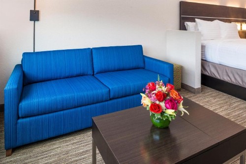 Holiday Inn Express & Suites - Tampa North - Wesley Chapel an IHG Hotel - image 7