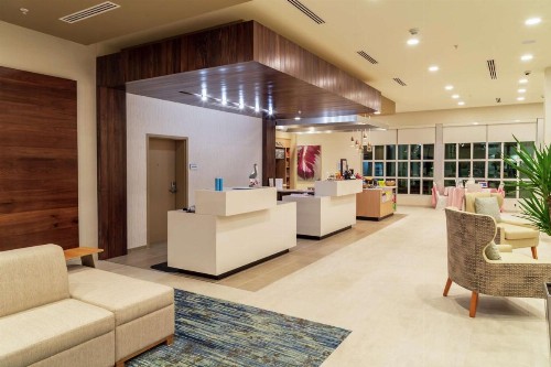 Hilton Garden Inn Tampa - Wesley Chapel - image 35