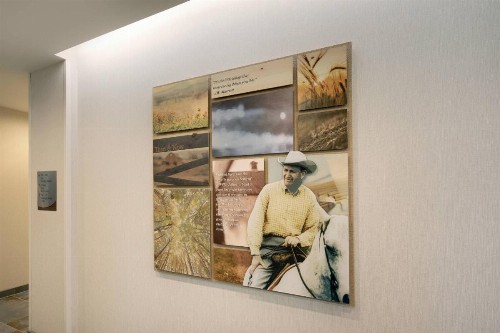 Fairfield Inn & Suites by Marriott Tampa Wesley Chapel - image 3