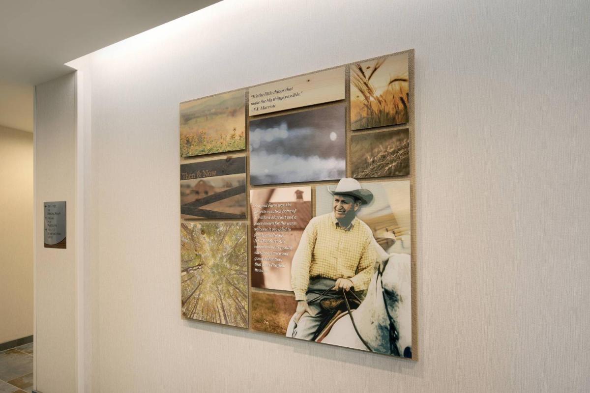 Fairfield Inn & Suites by Marriott Tampa Wesley Chapel - image 3