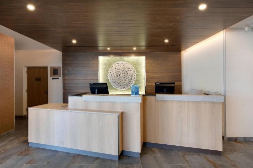 Fairfield Inn & Suites by Marriott Tampa Wesley Chapel - image 6