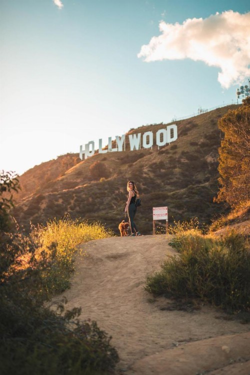 Montrose at Beverly Hills - image 47