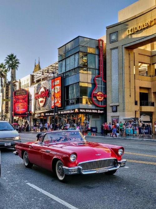 Montrose at Beverly Hills - image 8