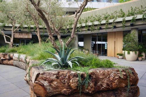 1 Hotel West Hollywood - image 7