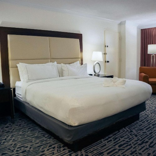 Hilton Palm Beach Airport - image 50