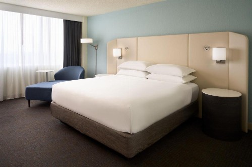 Holiday Inn Palm Beach-Airport Conference Center an IHG Hotel - image 19