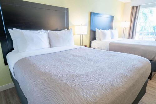 Quality Inn Palm Beach International Airport - image 11
