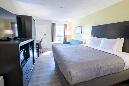 Quality Inn Palm Beach International Airport - image 20
