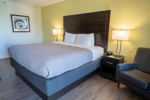 Quality Inn Palm Beach International Airport - image 29
