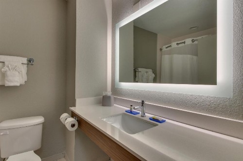 Holiday Inn Express West Palm Beach Metrocentre an IHG Hotel - image 48