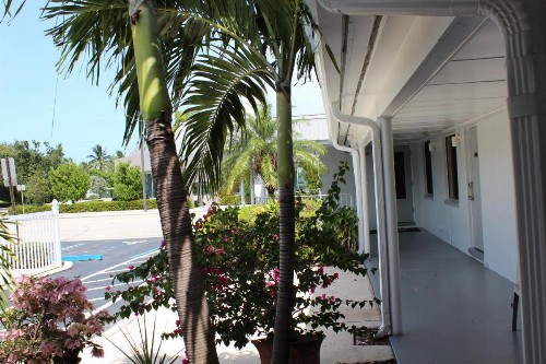 Economy Inn - image 29
