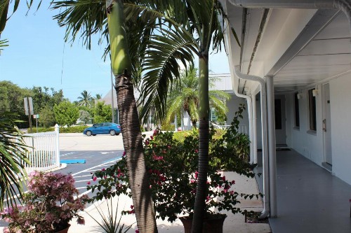 Economy Inn - image 32