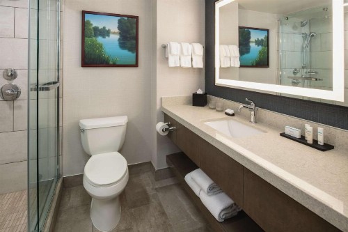 Embassy Suites by Hilton Sacramento Riverfront Promenade - image 35