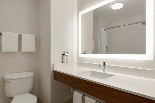 Holiday Inn Express- West Sacramento an IHG Hotel - image 40