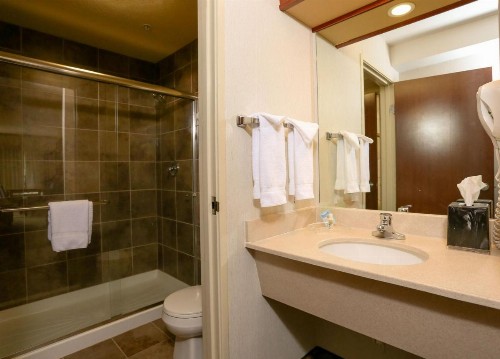Holiday Inn West Yellowstone an IHG Hotel - image 45