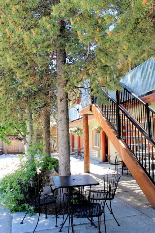 Moose Creek Inn - image 23
