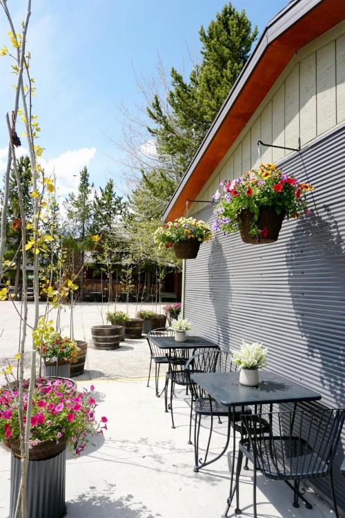 Moose Creek Inn - image 4