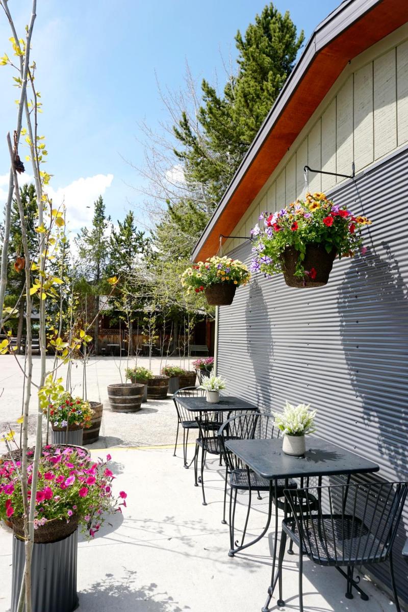 Moose Creek Inn - image 4
