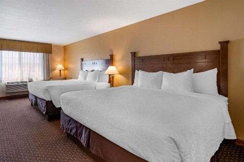 Best Western Desert Inn - image 12