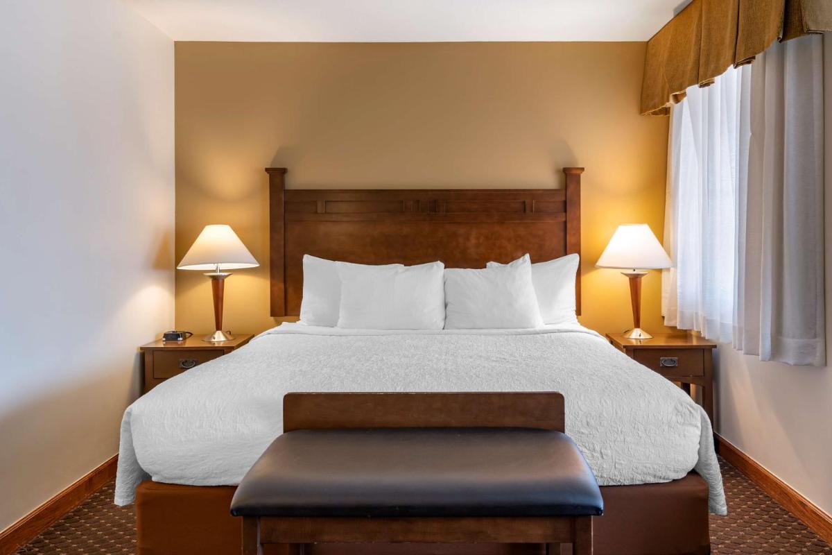 Best Western Desert Inn - image 4