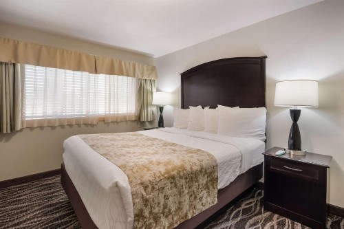 Best Western Weston Inn - image 5