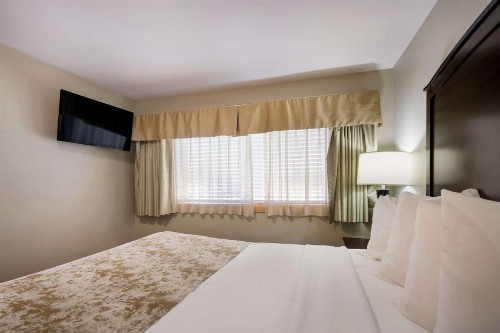 Best Western Weston Inn - image 6