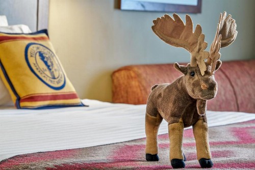 Yellowstone Park Hotel - image 21