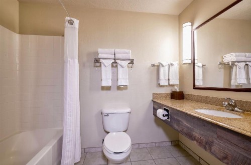 Yellowstone Park Hotel - image 27