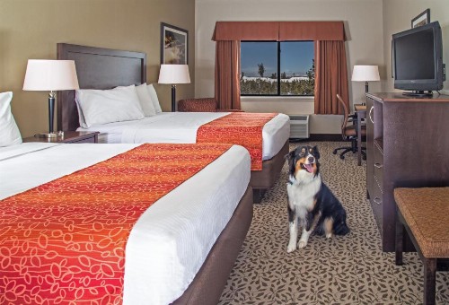 Gray Wolf Inn & Suites - image 2