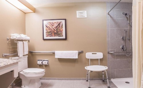 Gray Wolf Inn & Suites - image 3
