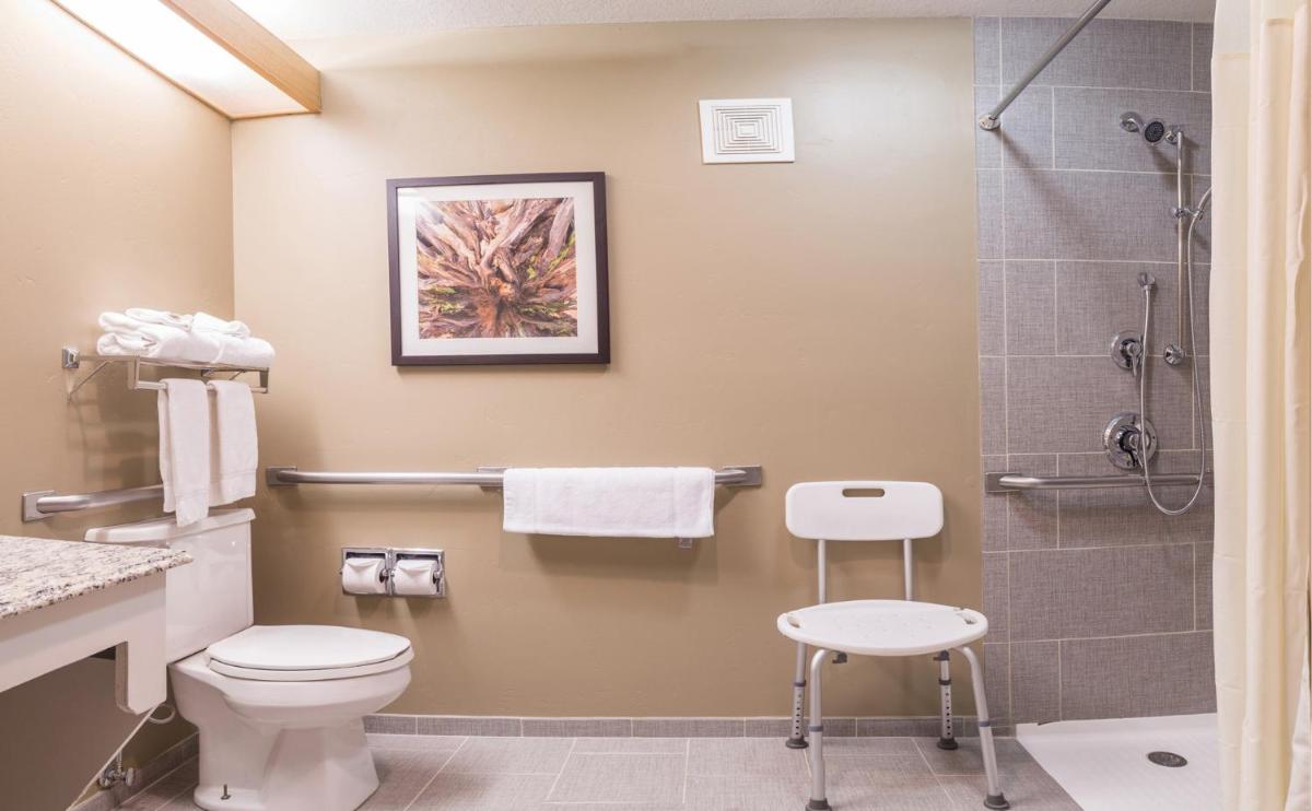 Gray Wolf Inn & Suites - image 3