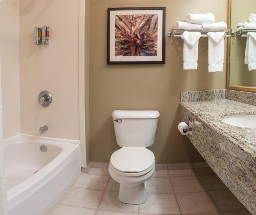 Gray Wolf Inn & Suites - image 31