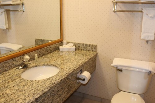 Gray Wolf Inn & Suites - image 36