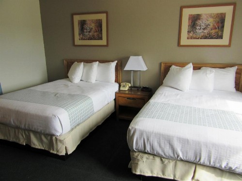 White Buffalo Hotel - image 24