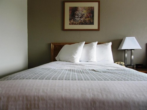 White Buffalo Hotel - image 28