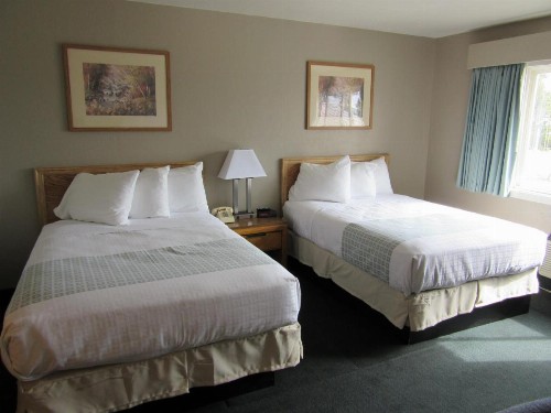 White Buffalo Hotel - image 4