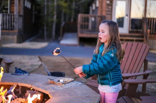 Explorer Cabins at Yellowstone - image 15