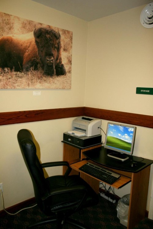 Yellowstone Lodge - image 12