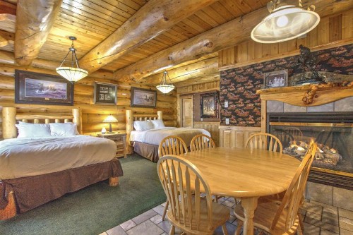 Hibernation Station - image 21