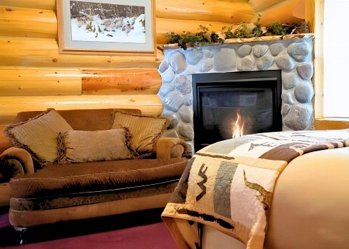 Hibernation Station - image 27
