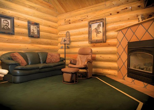Hibernation Station - image 50